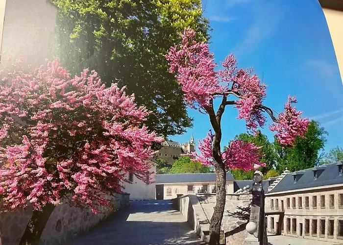 Βίλα El Jardin De La Alegria Σεγκόβια